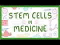 Stem Cells in Medicine Quiz