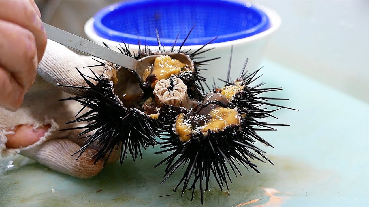 Korean Street Food - SEA URCHIN Sashimi Bowl Jacky