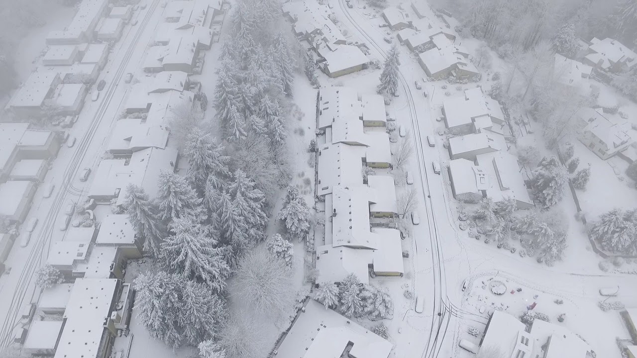 Snow in Redmond, WA YouTube