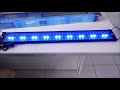 UNBOXING NICREW LED AQUARIUM  (TEST)