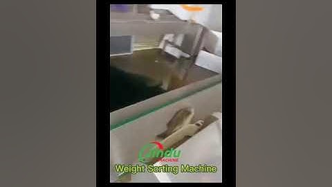 Fish seafood food fruit weight sorting machine grading grader #weighingmachine #machine #fruit