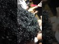 شيشاي مروه الدوليه حفله ود السر 