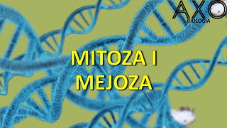 12. Podziały komórkowe - mitoza i mejoza