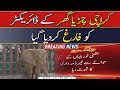 Director Karachi Zoo terminated over negligence in ailing elephant’s treatment