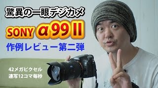 SONY α99II 作例レビュー（２）夜間のクルマ流し撮り！動きもの高画素・高速AF・高速連写、夜間の動画撮影、風景撮影などなど
