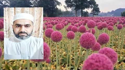 🌻القارئ ايــــاد البداحي وماتيسر من سورة الاعراف المباركه من الآيه 52 ـــ 64