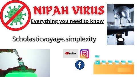 NIPAH VIRUS : Everything you need to know
