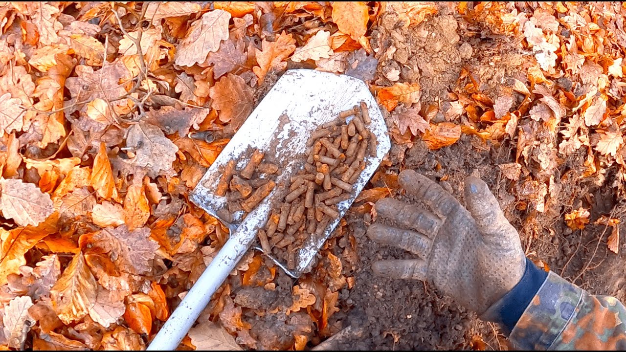 Sondeln mit Hort Fund, Münzen und mehr.
