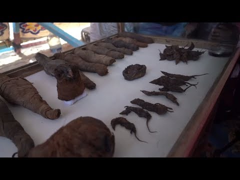 Video: Mehr Als 40 Mumien In Ägypten Entdeckt
