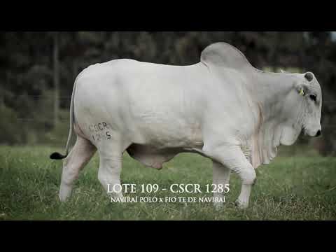 LOTE 109   CSCR 1285