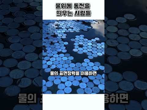 일본에서 유행한 1엔 동전 챌린지 thumbnail