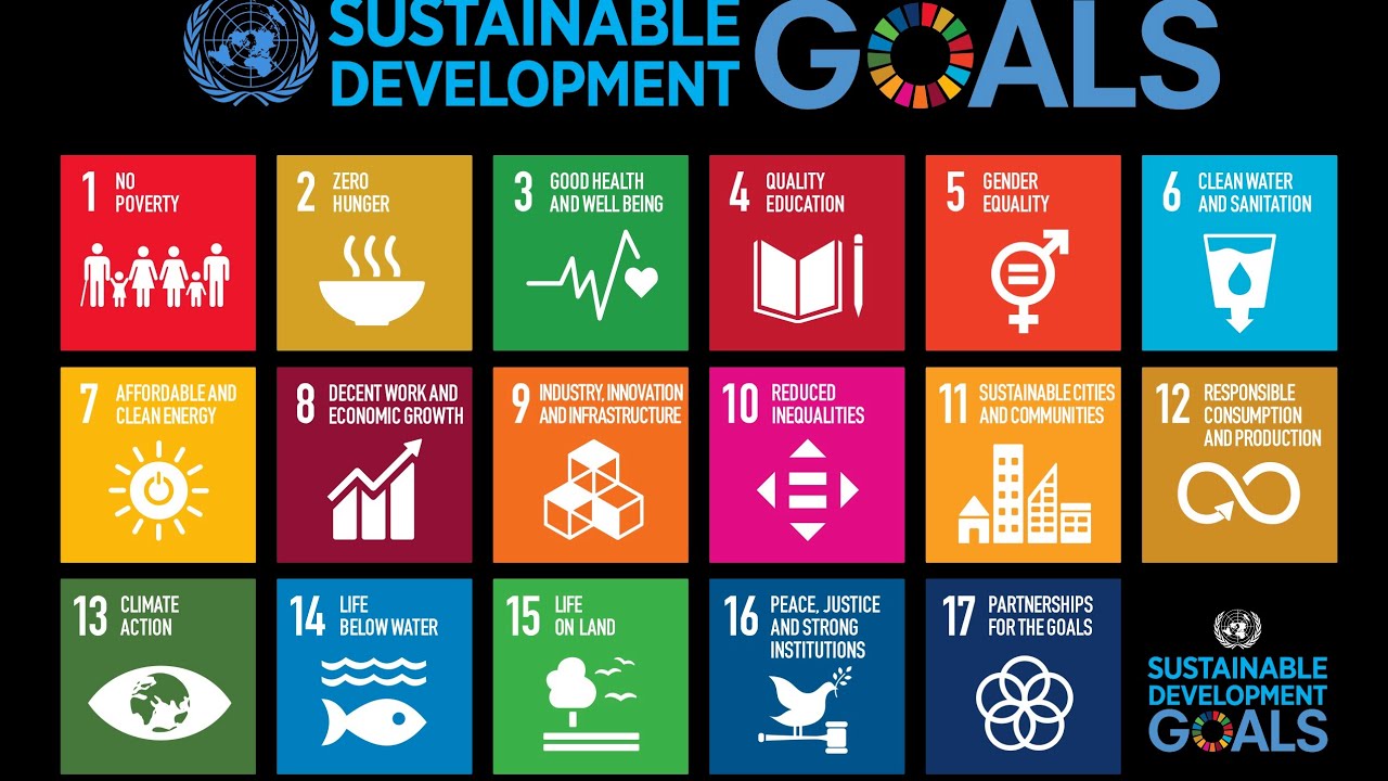 millenium-development-goals-and-sustainable-development-goals-youtube