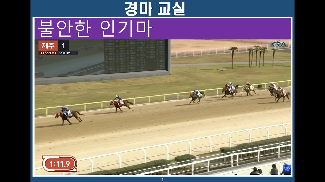 경마교실/ 경마분석/ 불안한 인기마/컨디션승부법