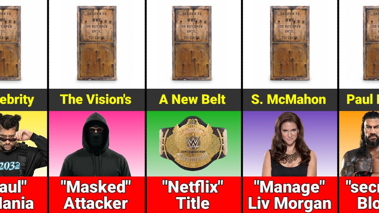 WWE Mystery Box What Is In? Secret Reaveled