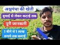 अश्वगंधा की खेती कैसे की जाती है//Herble planting//ashvgandha ki Kheti//अश्वगंधा की खेती।