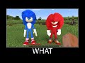 Minecraft wait what meme part 99 realistic Sonic the Hedgehog 2