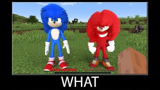 Minecraft wait what meme part 99 realistic Sonic the Hedgehog 2