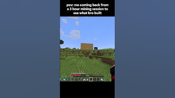 pov: me coming back from a 3 hour mining session to see what bro built