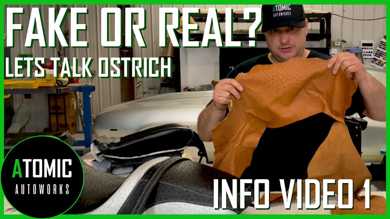 Auto restoration Shop Tells About Ostrich And Exotic Materials