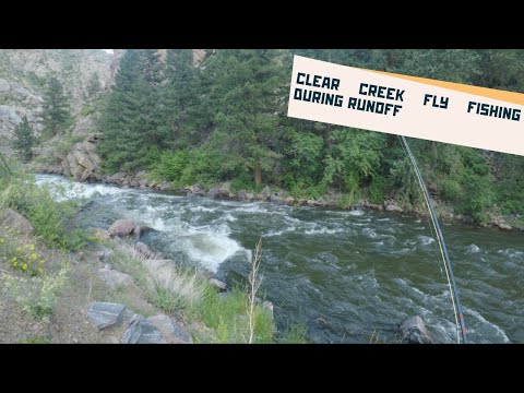 Fishing Clear Creek during Runoff - 600 cfs - Fly Fishing June 2022