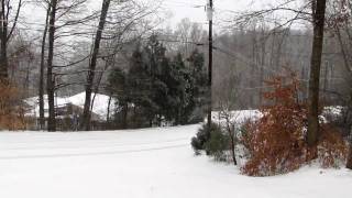 Winter Storm 2010-Clinton TN