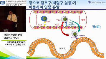 [가톨릭대학교 성빈센트병원] 염증성장질환클리닉 건강강좌_김대범교수