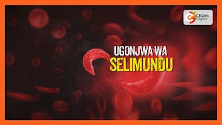 Siha Na Maumbile  Ulimwengu Juma Hili Umeadhimisha Siku Ya Selimundu