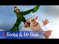 🦜 Booba - Booba and Parrot - All episodes with Mr Beak - Cartoon for kids
