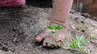 A Day with Prema Farms