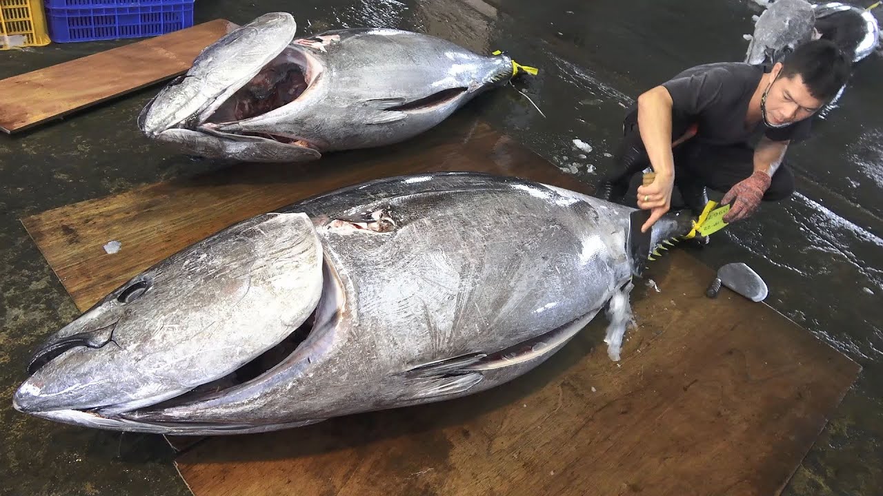 Сашими из гигантского голубого тунца, 305 кг, 30 000 долларов США - Тайваньская уличная еда