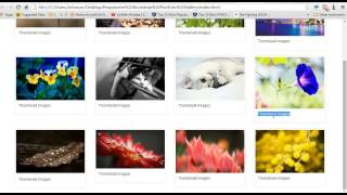 {How2Create} Bootstrap Responsive Portfolio Gallery, Zoom Effect, Image View With Use FancyBox