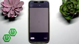 Cara Membuat GIF di X screenshot 2