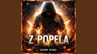 Z popela