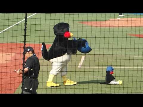 2019.6.8  つば九郎の空中くるりんぱチャレンジ