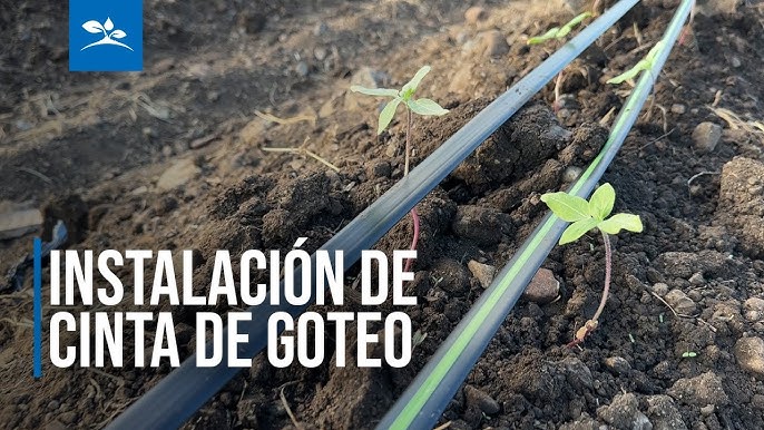 Cinta de Riego y sus características - Gritec Irrigation