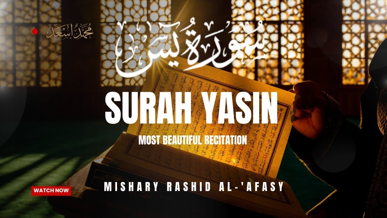 SURAH YASIN | MISHARY RASHID AL-'AFASY