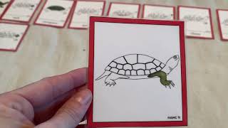 Parts of a Turtle Activity screenshot 5