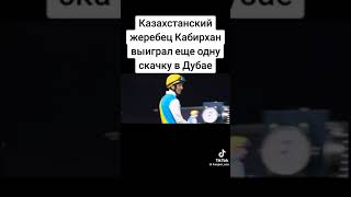 КАБИРХАН в Дубае