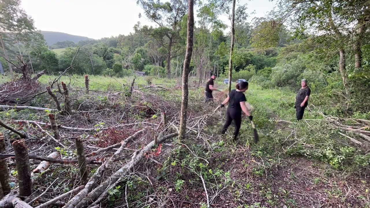 LIMPEZA NA CHACRINHA PARTE 16- continuação 