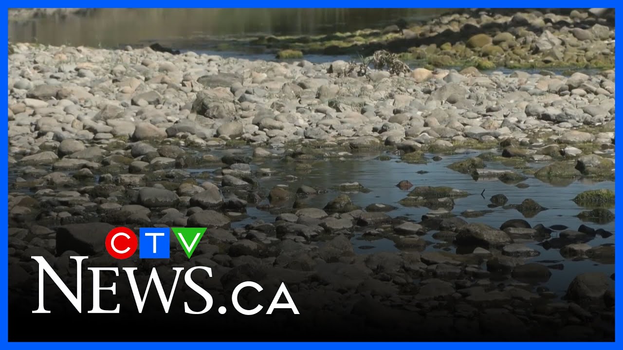 B.C. facing more adverse drought conditions this year as warm, dry ...