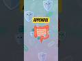 The Appendix Might Not Be Useless After All