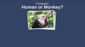 Machine Learning - Decision Tree