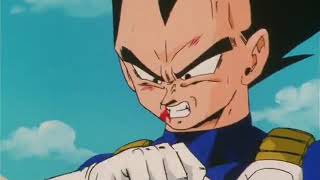 Vegeta rage