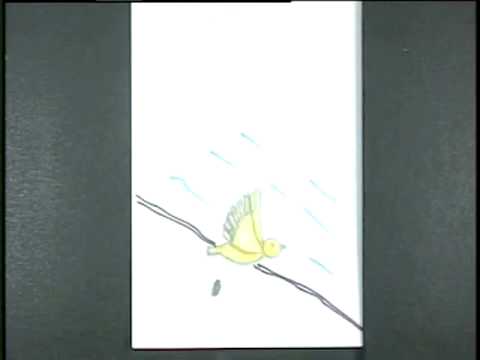 Flipbooks
