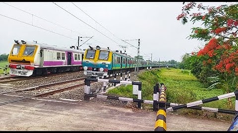 Rarest Green & Purple Colour Aerodynamic Emu Local Train Crossing at Railgate
