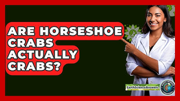 Are Horseshoe Crabs Actually Crabs? - Earth Science Answers