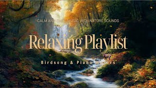 "Peaceful Piano & Nature Sounds – Gentle Waterfall, Birds Singing in Autumn Forest | screenshot 2