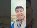 💫Dil lagana Manatha #song #music #love #bollywood #cat #travel #dil #art #edit #viral #sorts #shorts