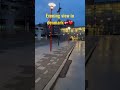 Evening view on denmark / denmark / bus ride