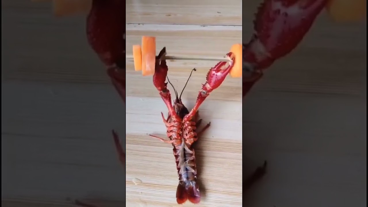 Most Amazing Technology And Skilled Workers 